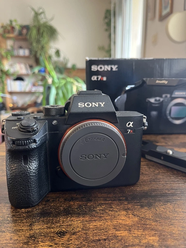 Sony Alpha 7R III, photo 2 sur 5