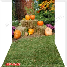 Outdoor 10'x20'Computer/Digital Vinyl Scenic Photo Backdrop Background SP-248B88