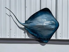 46" Blue Southern Stingray Half Mount - Quick Production