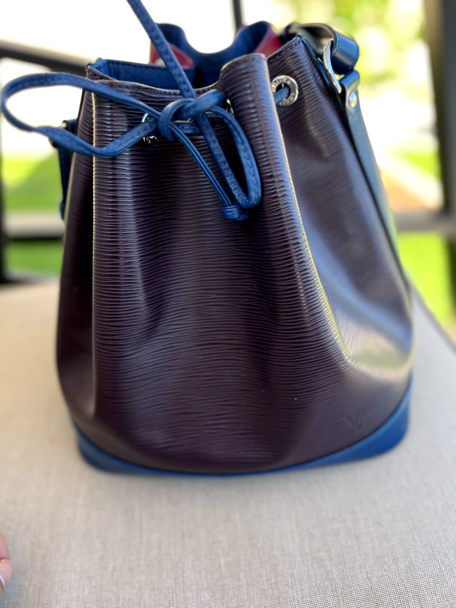 Louis Vuitton Epi Leather Collection - Coffee and Handbags