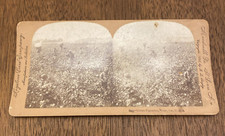 Macon Georgia GA Cotton Plantation Stereoview Cards KEYSTONE VIEW CO Antique