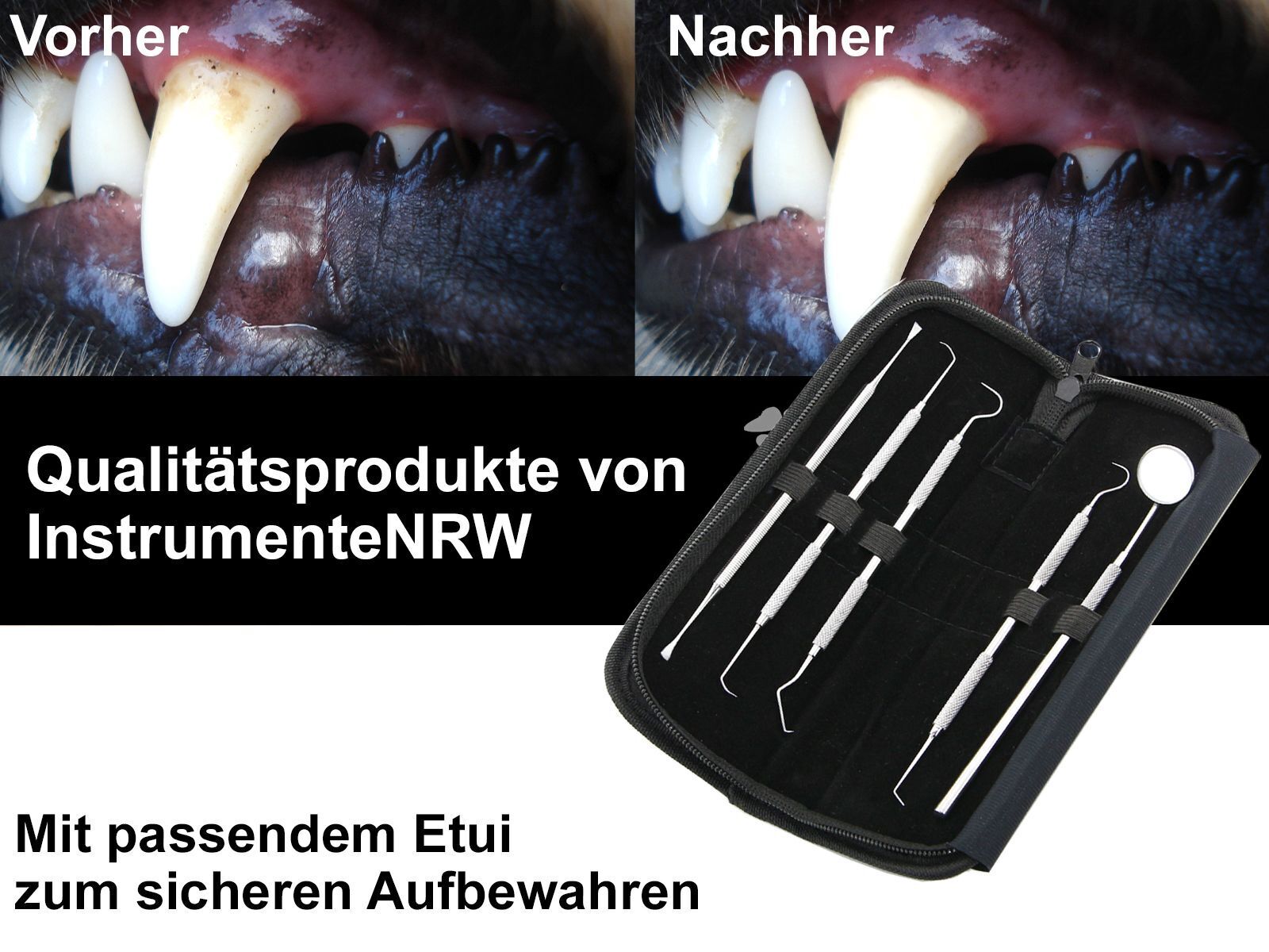 Bild 5 von 9