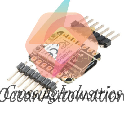 RP2040 Microcontroller 2-core ARM Cortex M0+ 2MB Flash I2C/UART Port Seeed XIAO