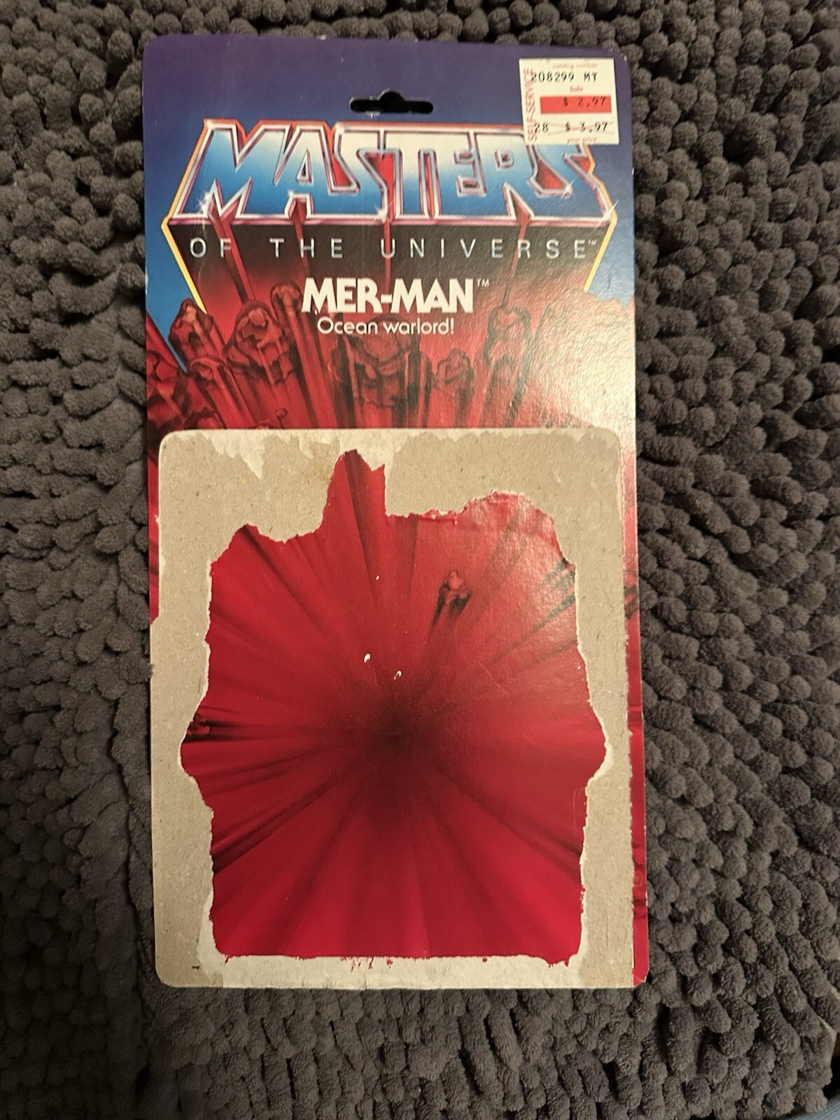 Picture 21 of 22
