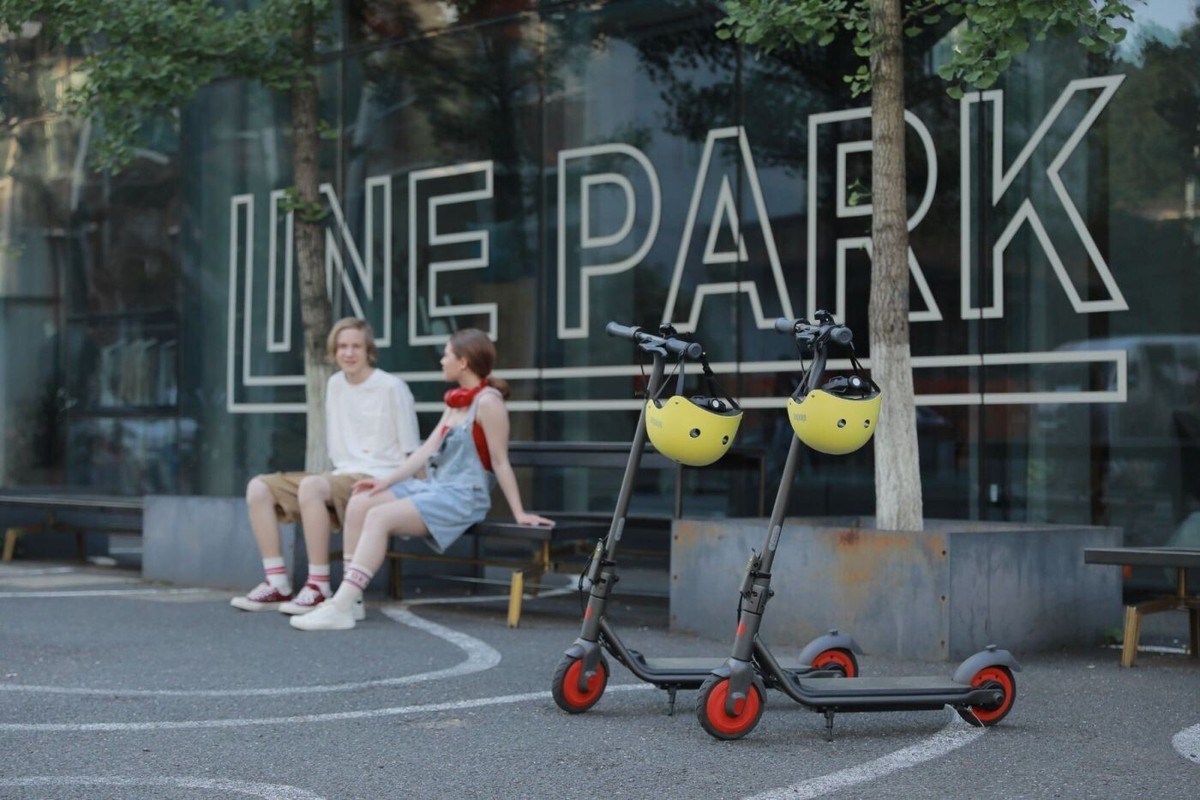 Ninebot By SEGWAY ZING C20 Electric Scooter - New | eBay