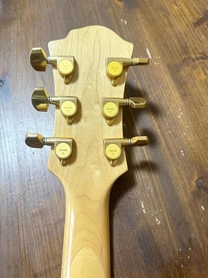 TARGET by FERNANDES MGT Mockingbird CS | eBay
