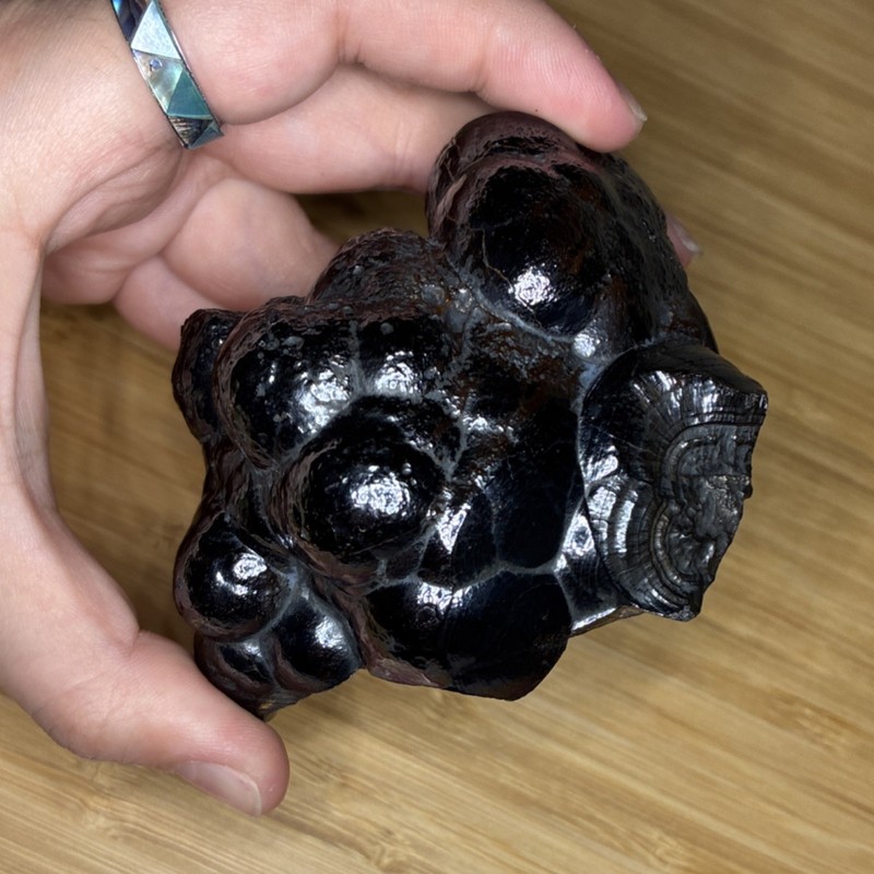 Botryoidal Hematite Mineral Specimen Black Natural Rough 