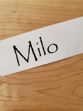Milo pet name Sticker Vinyl Decals 10" (2) PAIR black - Dog Cat Pet Puppy FAST