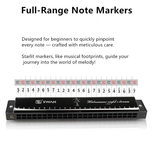 Red Swan Stainless Steel Reeds 24 Holes Tremolo Harmonica Key of C Beginner Set - Picture 10 of 12