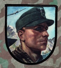 Gebirgsjäger WH Wappen"Aufnäher"Patch /2.Wk/German Army/Narvik/Kreta/Edelweiß/WK