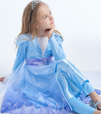 Disney Offical Frozen Elsa costume dress, birthday dress, Disney party dress  | eBay
