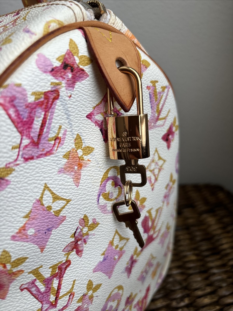 Louis Vuitton Richard Prince Aquarelle Speedy Handbag - Authentic
