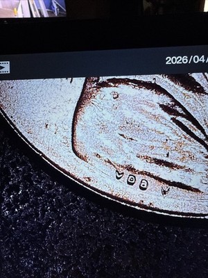 (5)qty 2023 P ''VDB extra V'' Lincoln Cent Bu Condition *Pics Are What You Get* #6