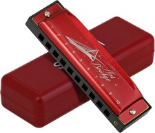 Blues Harmonica Diatonic 10 Hole Mouth Organ for Adult Beginners Soulful Music