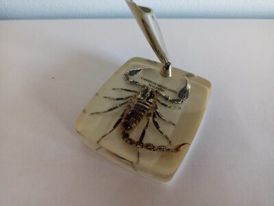 Scorpion ペン立て DESKTOP PENHOLDER WITH A SCORPION ENCAPSULATED IN ITS ACRYLIC BASE