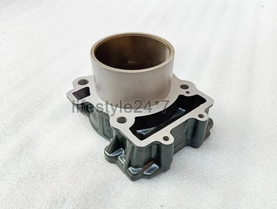 Bloque de barril de cilindro con pistón apto para KTM Duke 390 modelo 2015 a 2019 Foto 2 de 4