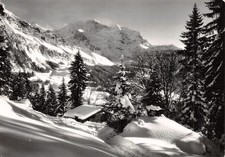 SWITZERLAND WENGEN 322 WENGEN THE VIRGIN