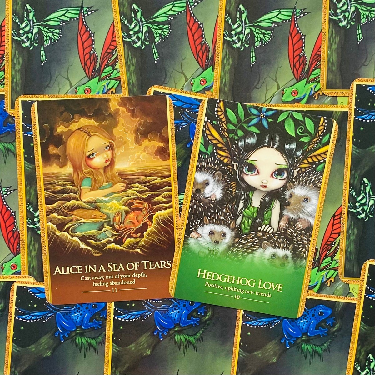 ORACLE OF THE SHAPESHIFTERS オラクルカード Oracle Of The Shapeshifters Cards Beyond Words - Tarot Cards