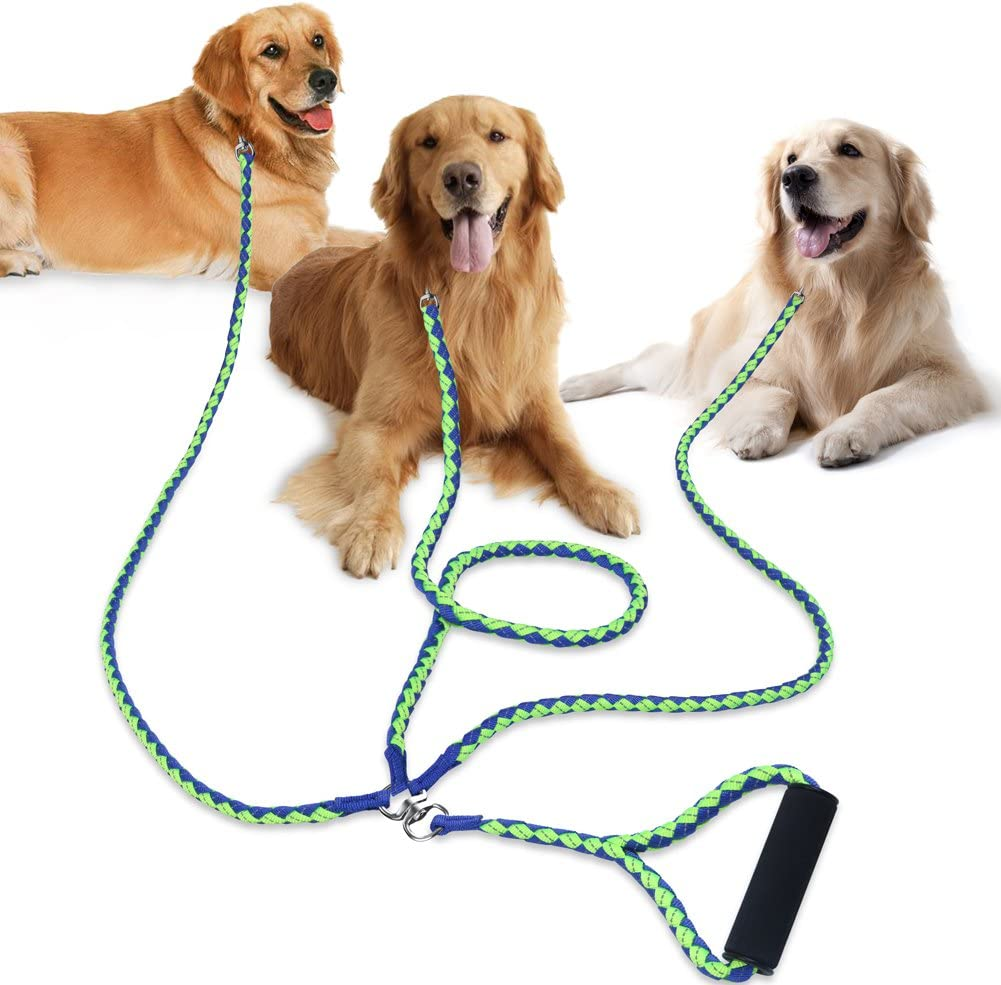 safety leash for dogs