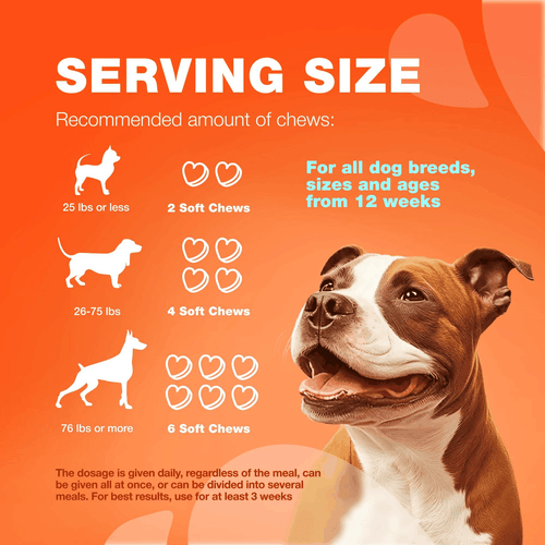 Glucosamine for Dogs Hip and Joint Supplement for Dogs Chondroitin Chews MSM - Bild 8 von 9