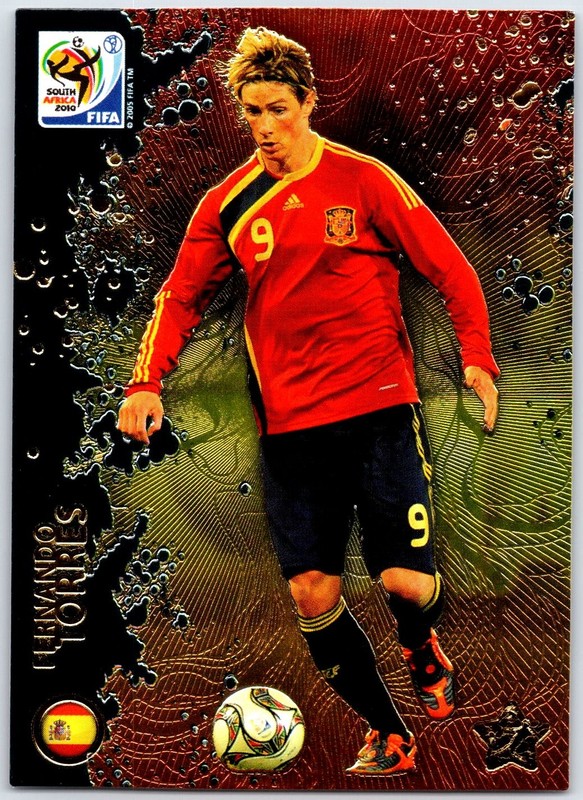 Fernando Torres 2010 Panini FIFA World Cup #100 NM