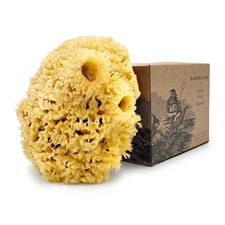 Sea Wool Sponge by 5.5" - Natural Sea Sponges for Bathing - Bath Sea Sponge f...