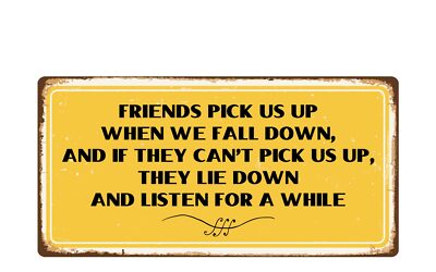 1767HS Friends Pick Us Up When We Fall Down 5''x10'' Novelty Sign