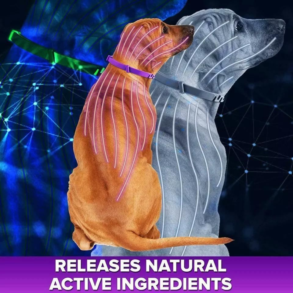 Toldi FleaTreatmentforDogs, Adjustable FleaCollarDogs, 8 Months