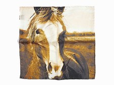 Hipster Men's - 14" Square Equestrian Wild Horse Print 100 Silk Pocket Square