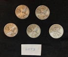 2013 1oz Silver American Eagle/Liberty Coin $1 US Mint (5 Coins in Lot) Lot # 3