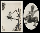 SUICIDAL MAN PERCHED on BRITTLE BRANCH of BURNT TREE ~ 1930s PHOTO gay — photo 1