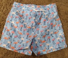 JANIE  JACK FLAMINGO SWIM TRUNK Size 12-18 Months