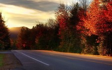 Landscape photography nature road fall trees plants Custom Gaming Mat Desk
