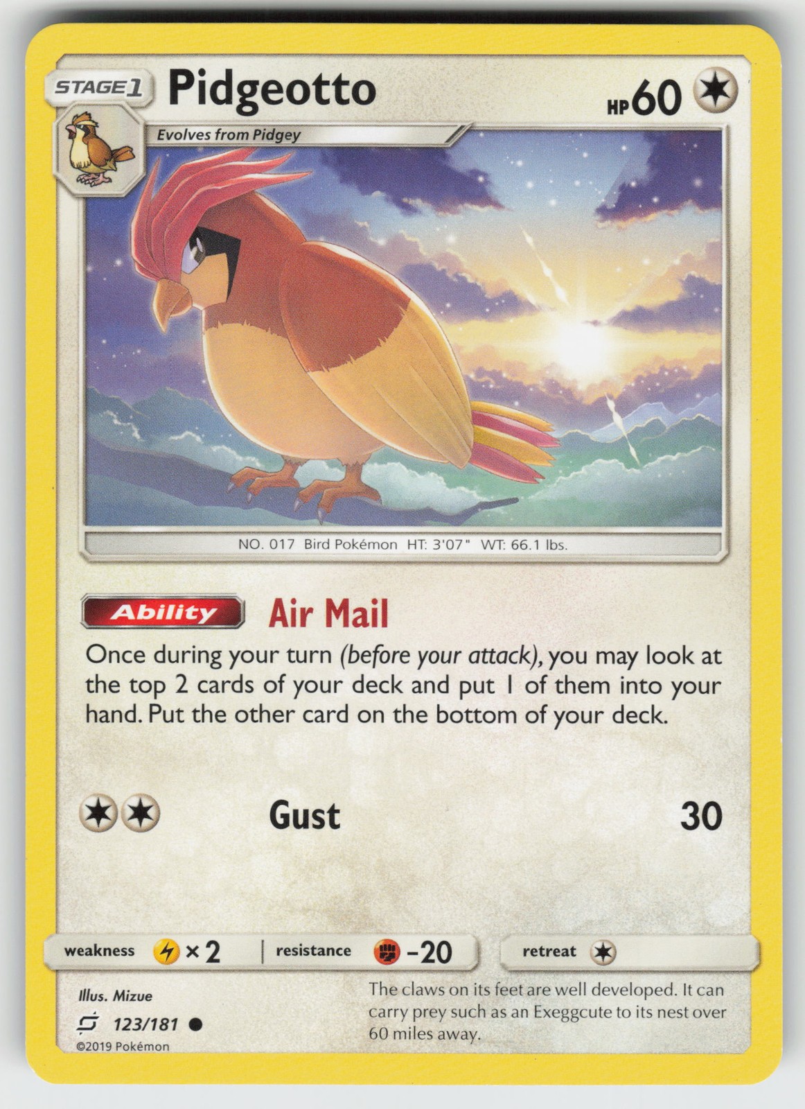 Pidgeotto SM - Team Up 123/181 Common LP Pokemon