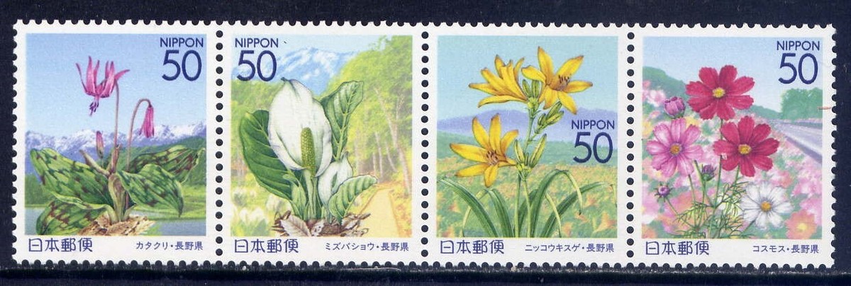 日本画(13)　白い花 Yahoo!オークション -「白い花」(花鳥、鳥獣) (日本画)の落札