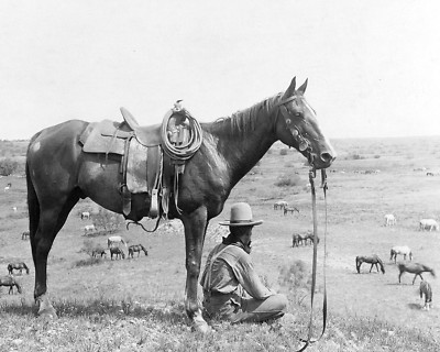 The Horse Wrangler (1910) 8''x10'' Cowboy Print Erwin Smith Photograph Western