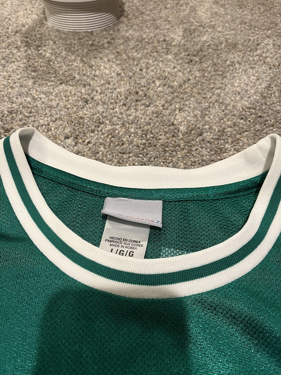 Paul Pierce, Boston Celtics, #34, Reebok Jersey Size large