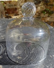 Cloche fromage patisserie