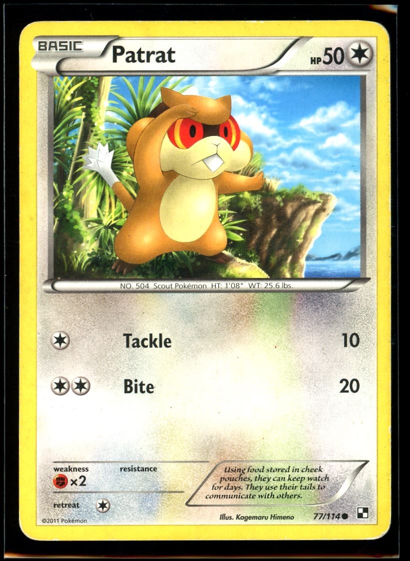 2011 Black & White Patrat #77 Non Holo Pokemon Card