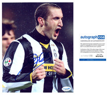 Giorgio Chiellini 'Juventus' Soccer Legend Signed 8x10 Photo ACOA Italy