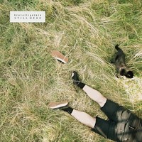 Brutalligators - Still Here - Vinyl Record Vl - G3Z