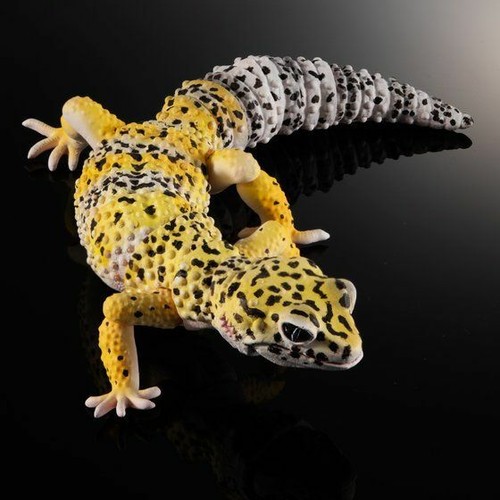 Bandai Gecko capsule Japan Limited Edition Full set of 4 pcs - Picture 4 of 7