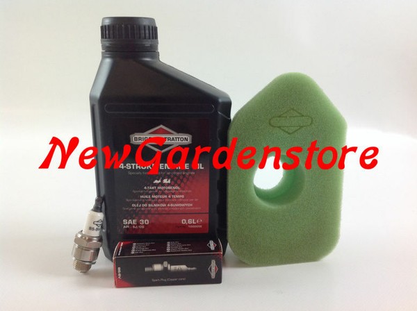 Wartungs-Kit Reparaturanleitung RasenmäHer Motor Briggs & Stratton 3,5 4 E 4,5-image