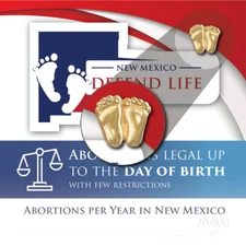 New Mexico Card Literature (Pack of 50)