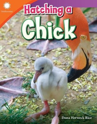 Dona Herweck Rice Hatching a Chick (Taschenbuch) Smithsonian: Informational Text