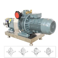 220V Three-Phase Electric Cam Rotor Pump high Viscosity Colloid Transfer Pumps