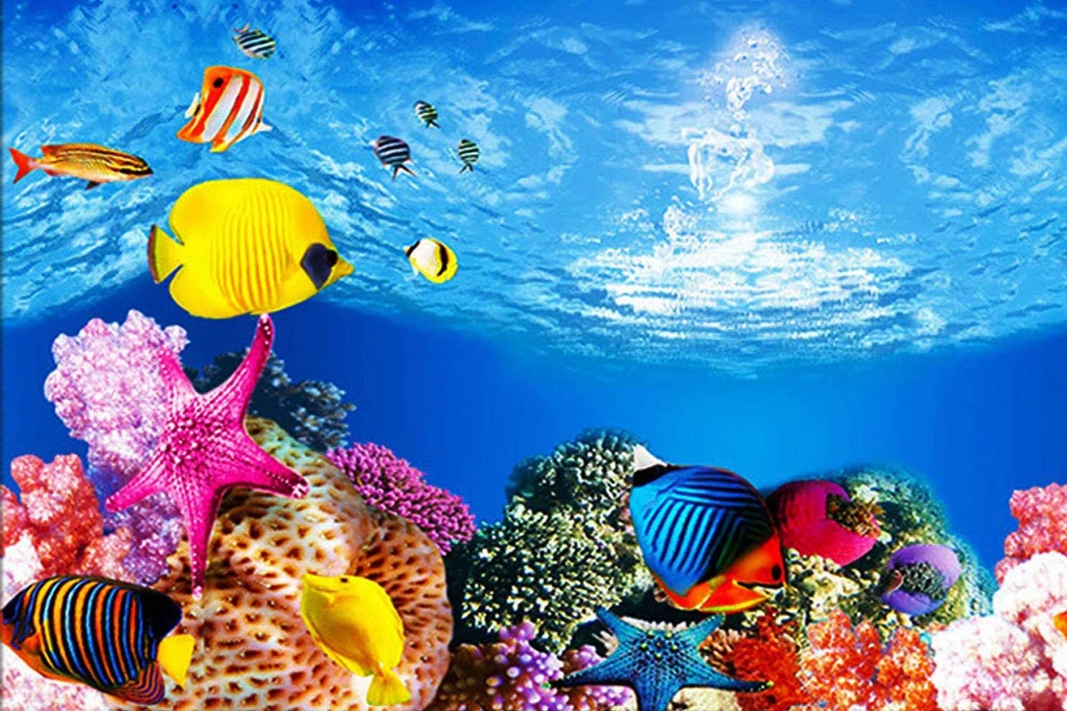 Everything you need to know about aquarium backgrounds