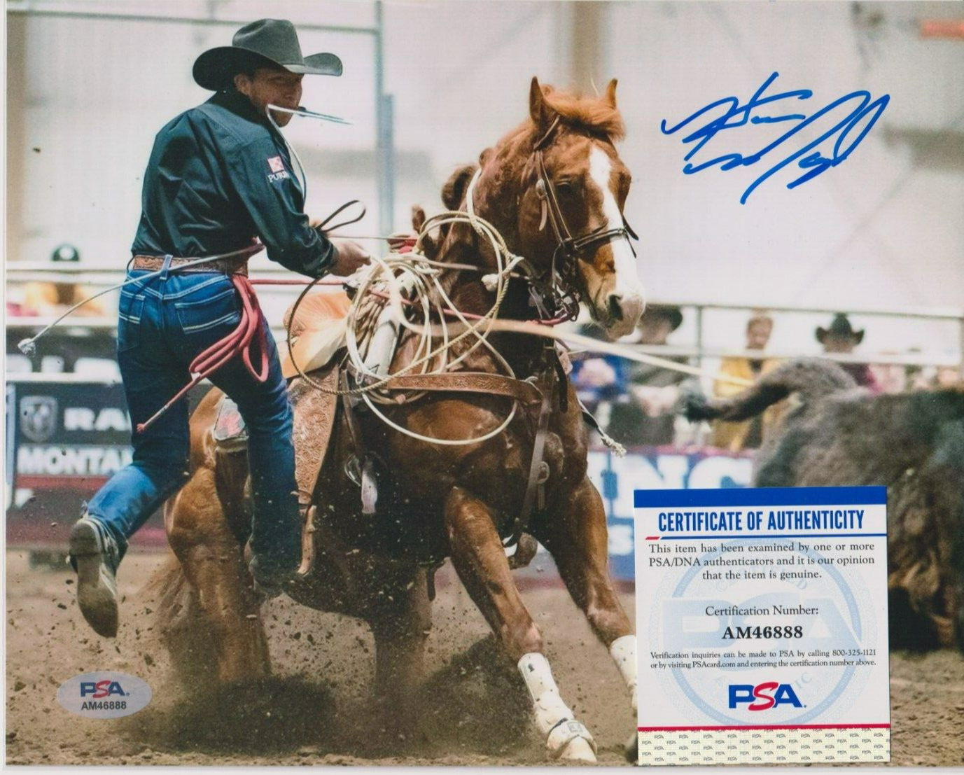 Northhaven Pro Rodeo HAVEN MAGED Rodeo Signed AUTO Photo 8x10 PSA/DNA COA PRCA NFR CALF ...