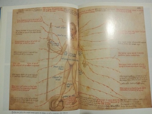 The Black Death by Philip Ziegler(Hardcover)printed in 1991 by Allan Sutton. - Picture 6 of 12