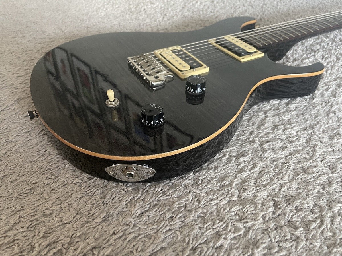 PRS SE Custom 22 美品 PRS SE Custom 22 Semi-Hollow Quilt-Top Limited-Run Electric